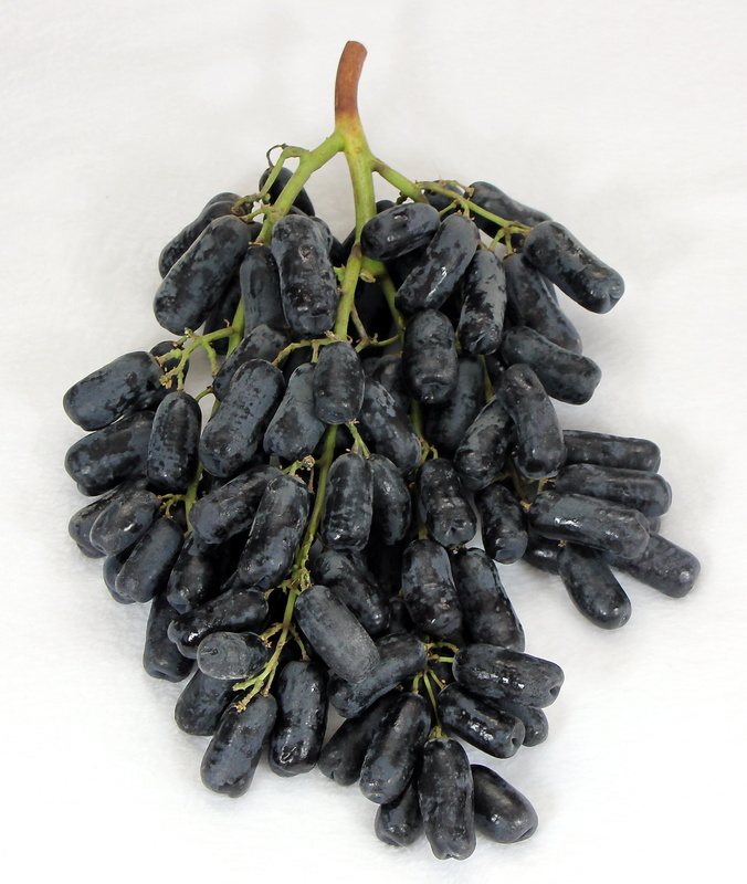 Виноградная гроздь