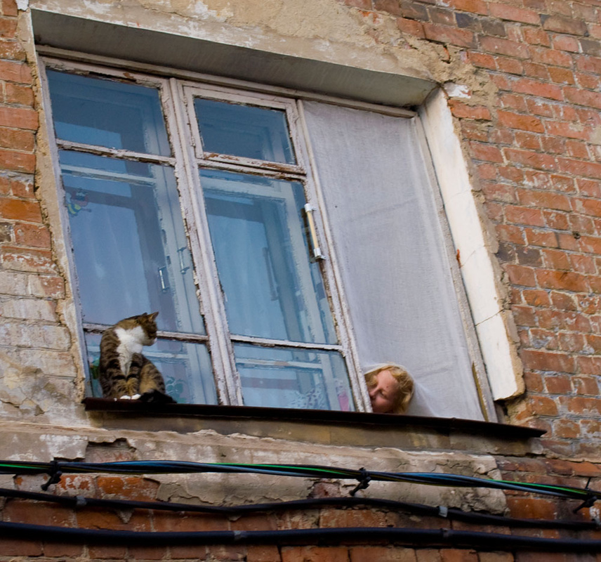 Падающее окно, кот и девочка.