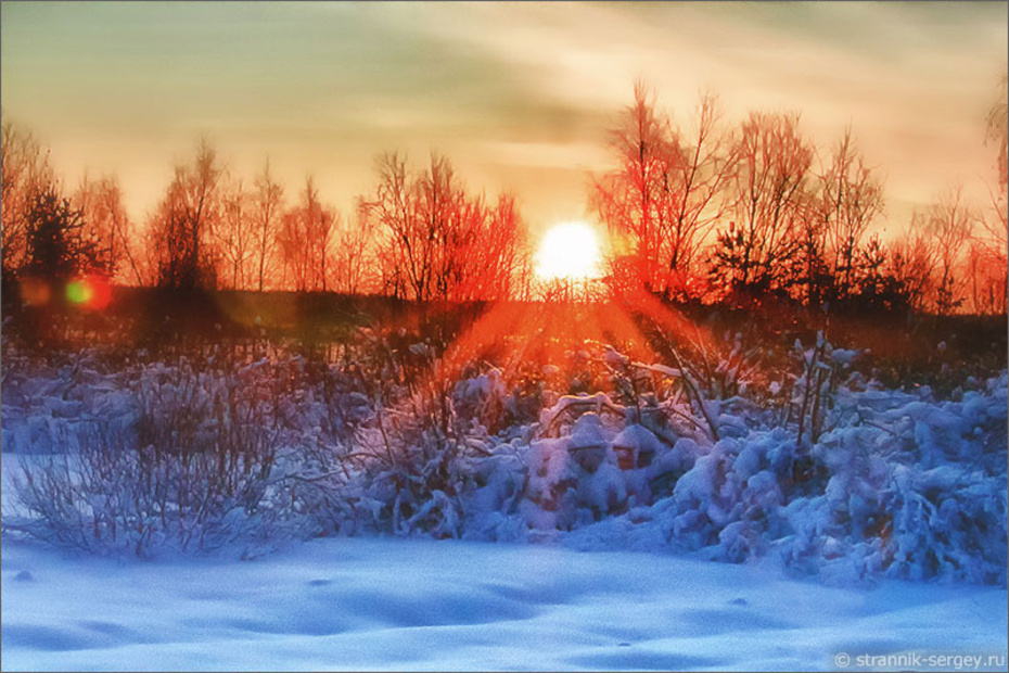 Зима в Мещёре: хрустальные утра, серебряные дни
