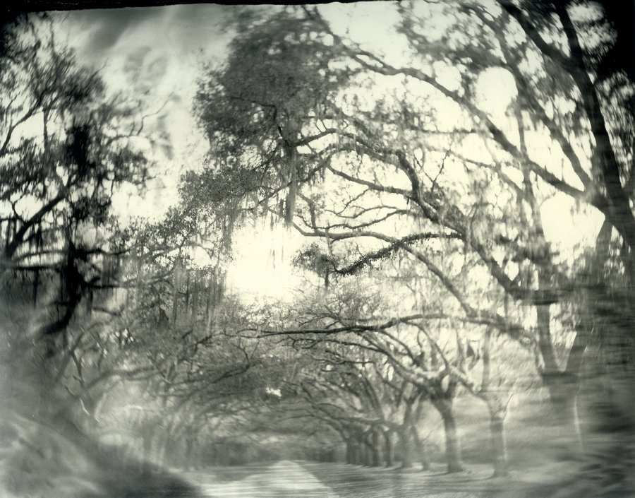 Sally Mann – лучший фотограф Америки