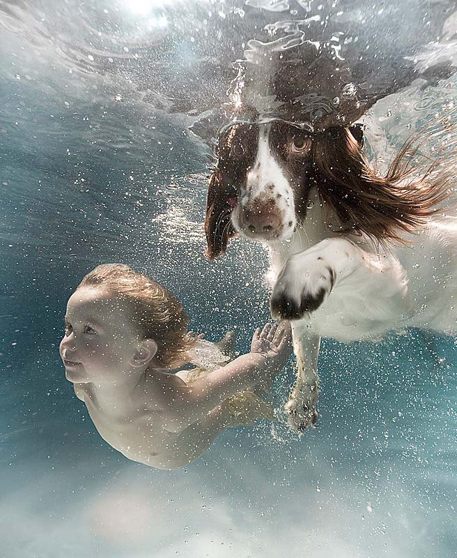 Подводный мир  фотографа Зены Холловей (Zena Holloway)