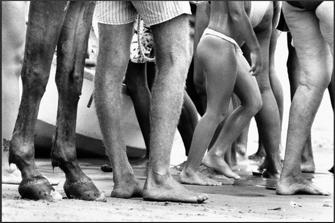 Elliott Erwitt