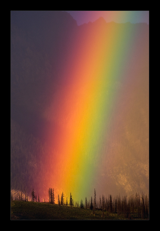 Mike Reyfman