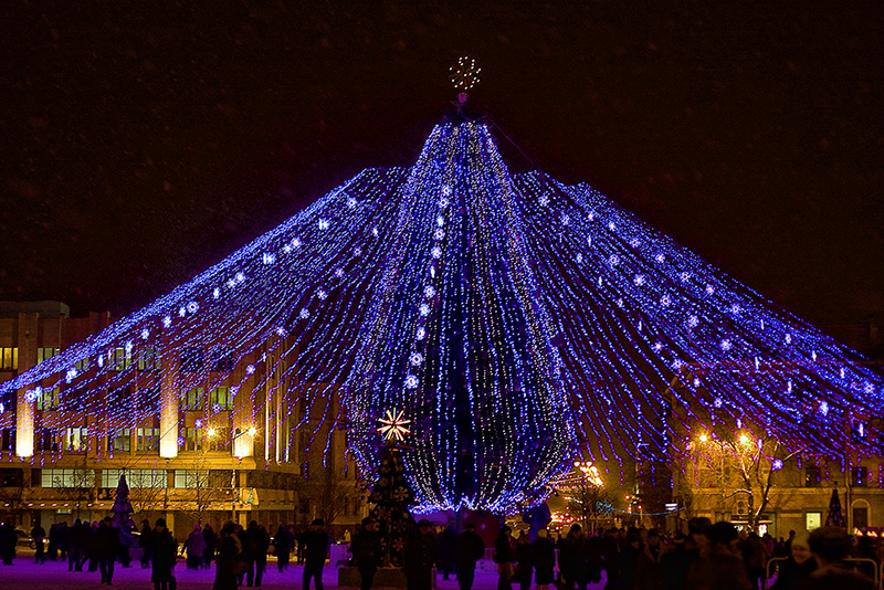 Елка белгород. Белгородская елка. Белгород Центральная елка. Белгород елка в центре города. Главная Новогодняя елка города Белгорода.