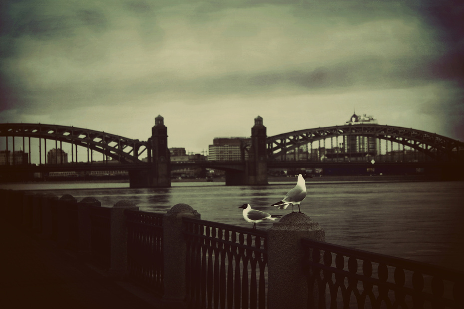 Saint Petersburg | Grey Day