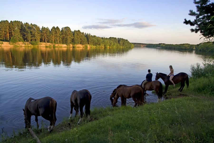 Водопой