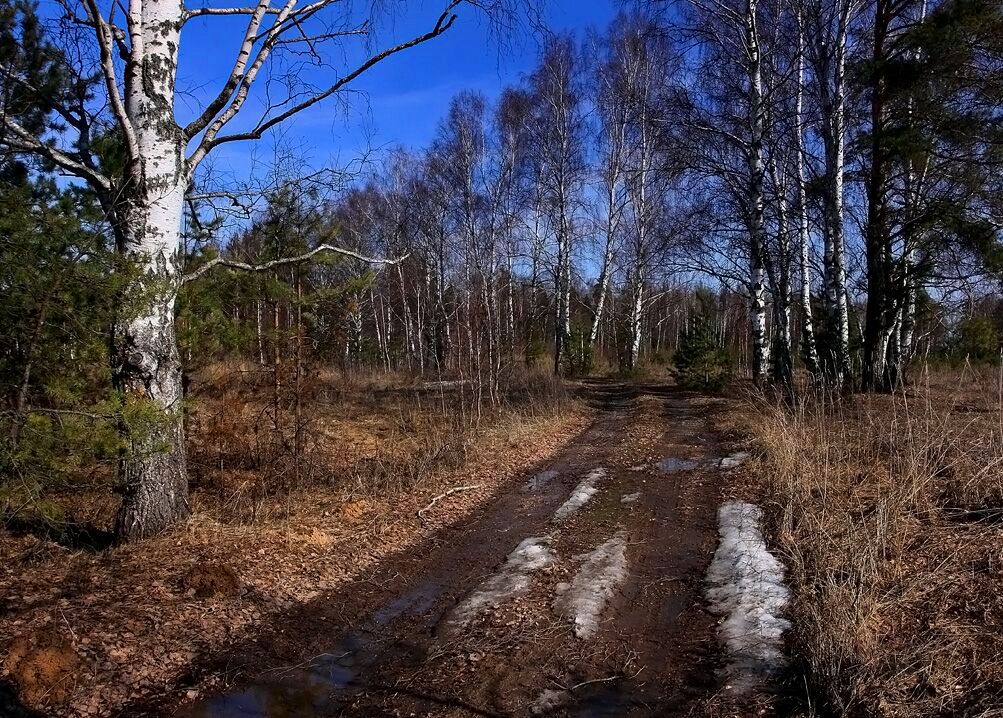 Средней полосы 2. Пейзаж средней полосы России весенний. Весна в средней полосе России. Весенние пейзажи средней полосы. Средняя Весна.