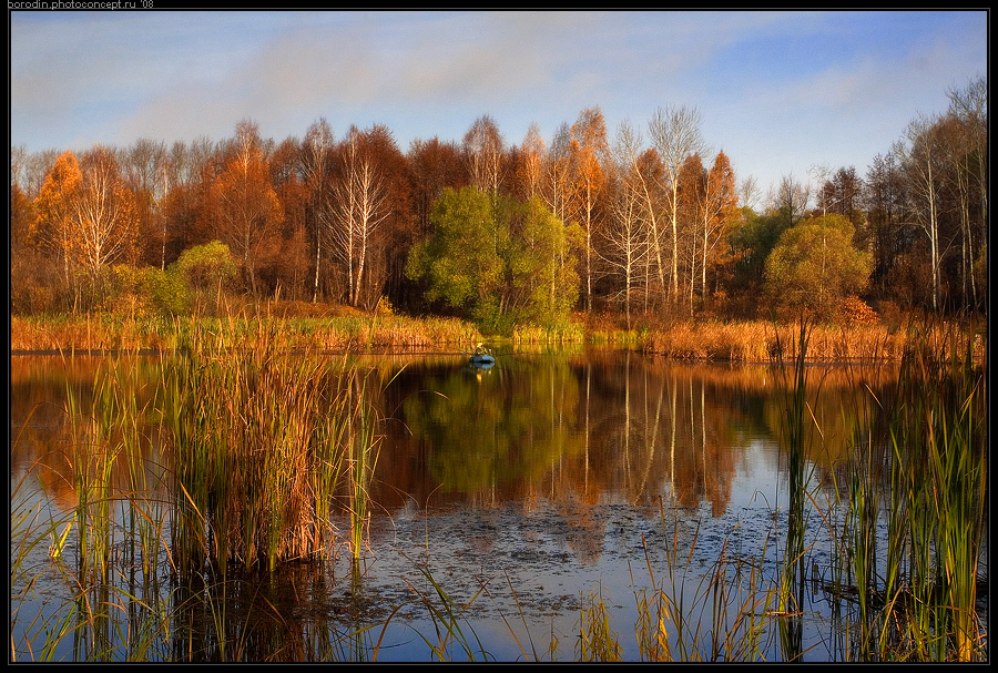 Про осень и рыбака