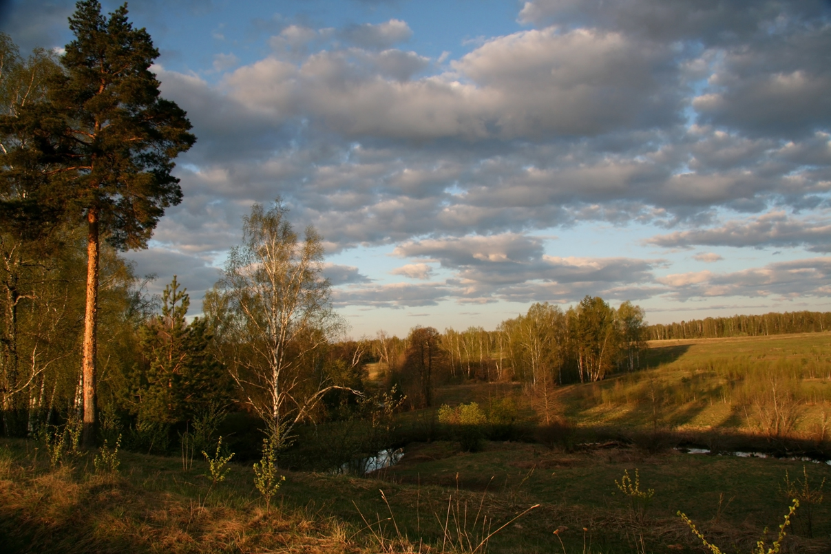 Родные места. Пейзажи центральной России. Природа средней полосы Весна. Родимая сторонушка.