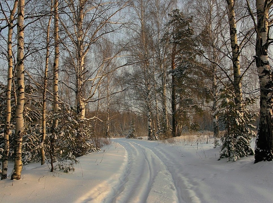 Зимние проселки