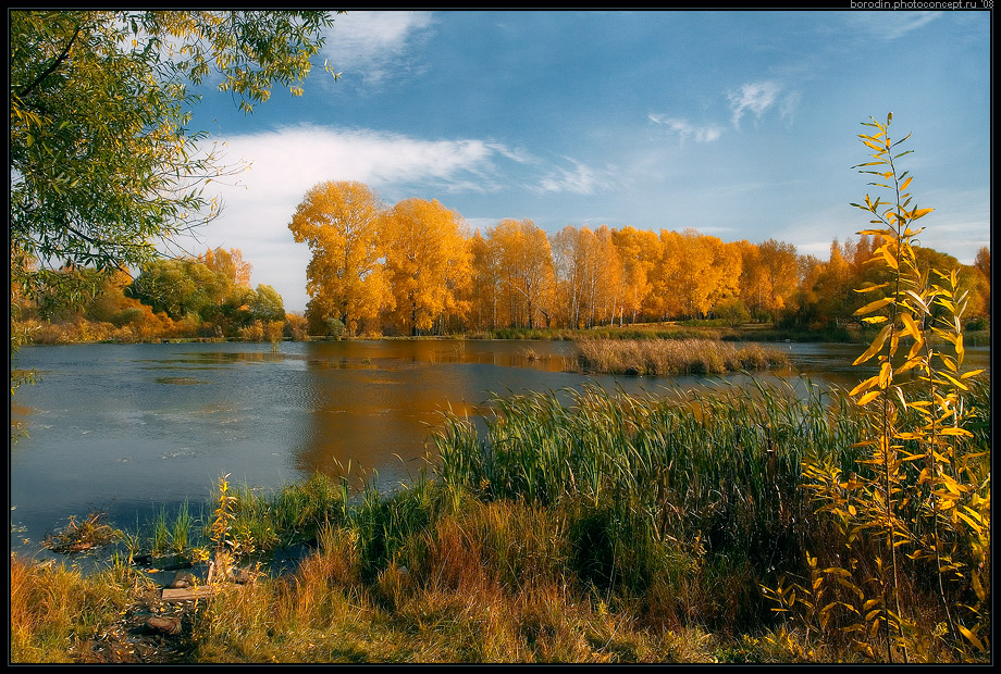 Осенняя зарисовка