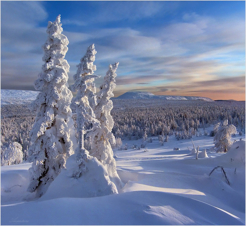 ЗаМороженки