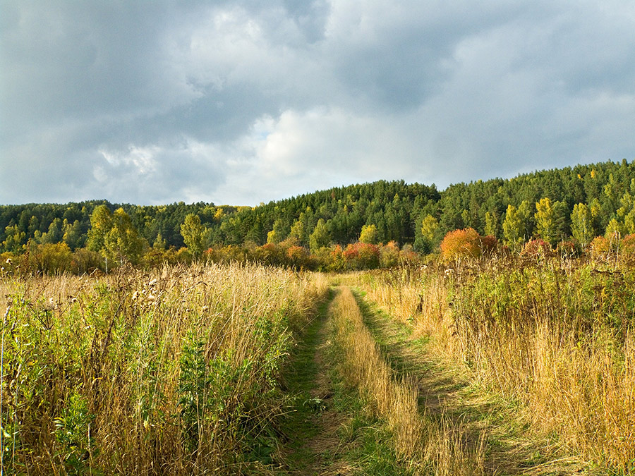 Дороги осени