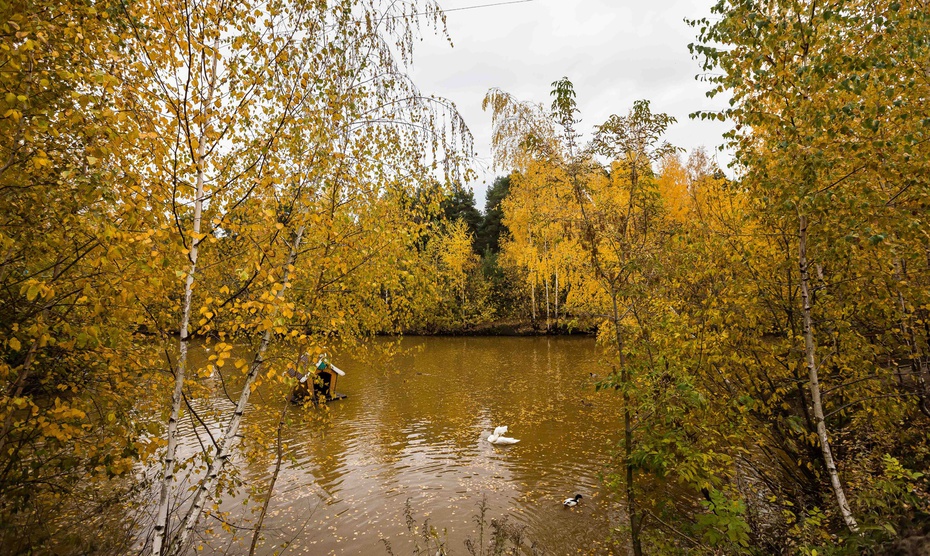 Мы от осени не прячемся