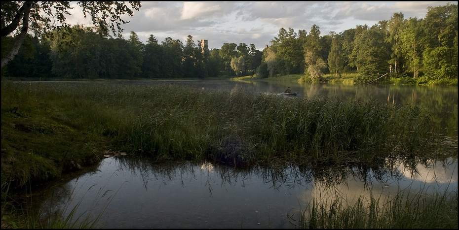 Раннее утро в парке