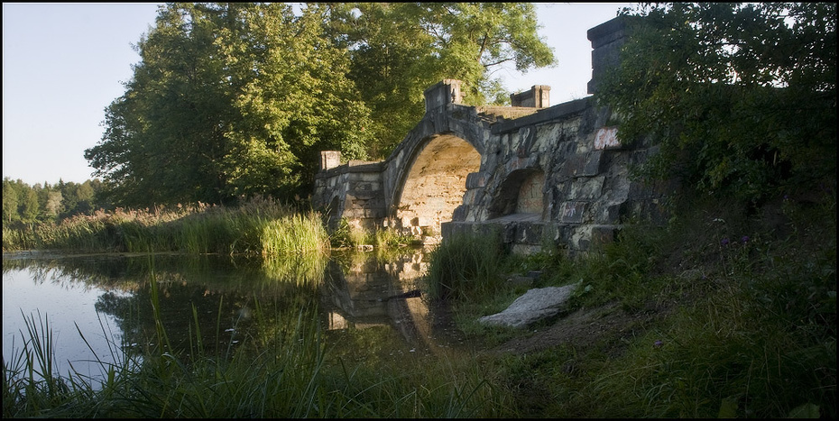 Утро в парке