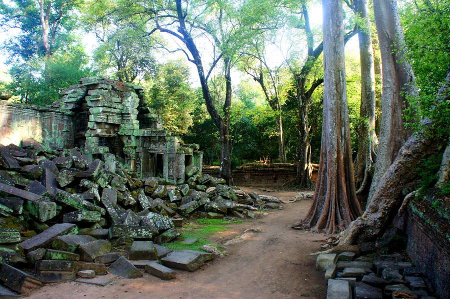 Лес Ангкора