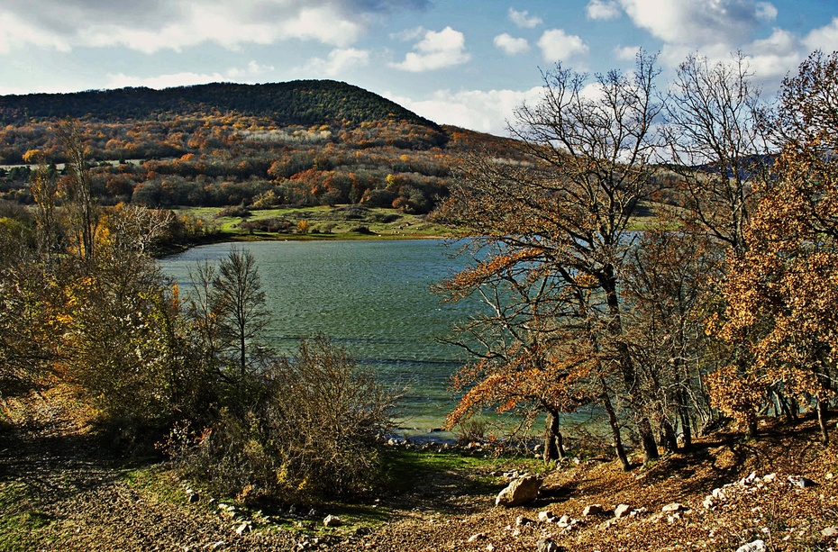 Краски осени